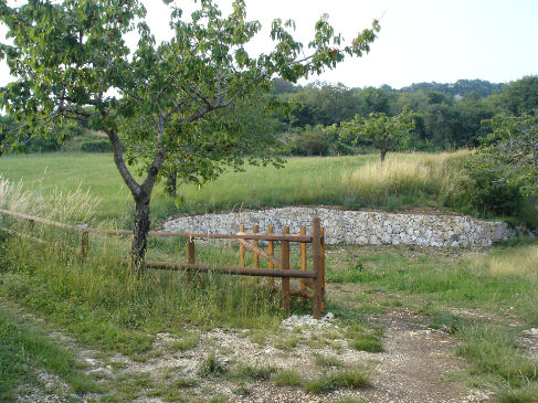 Rustici e Terreni Rustici e Terreni